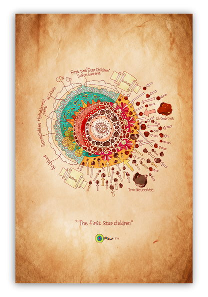 THE    　         STAR BOOK