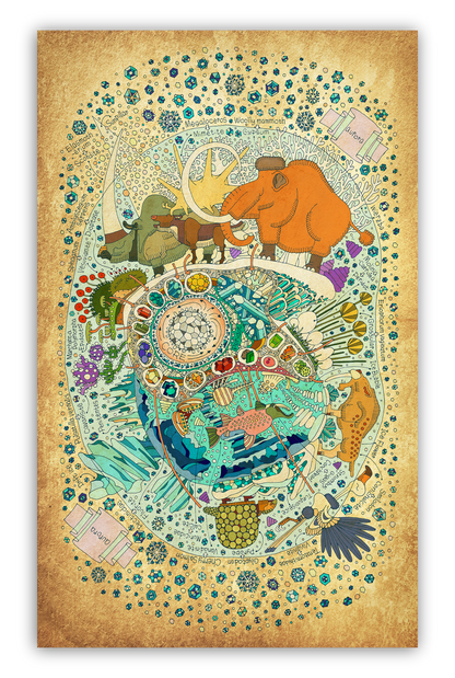 THE    　         STAR BOOK