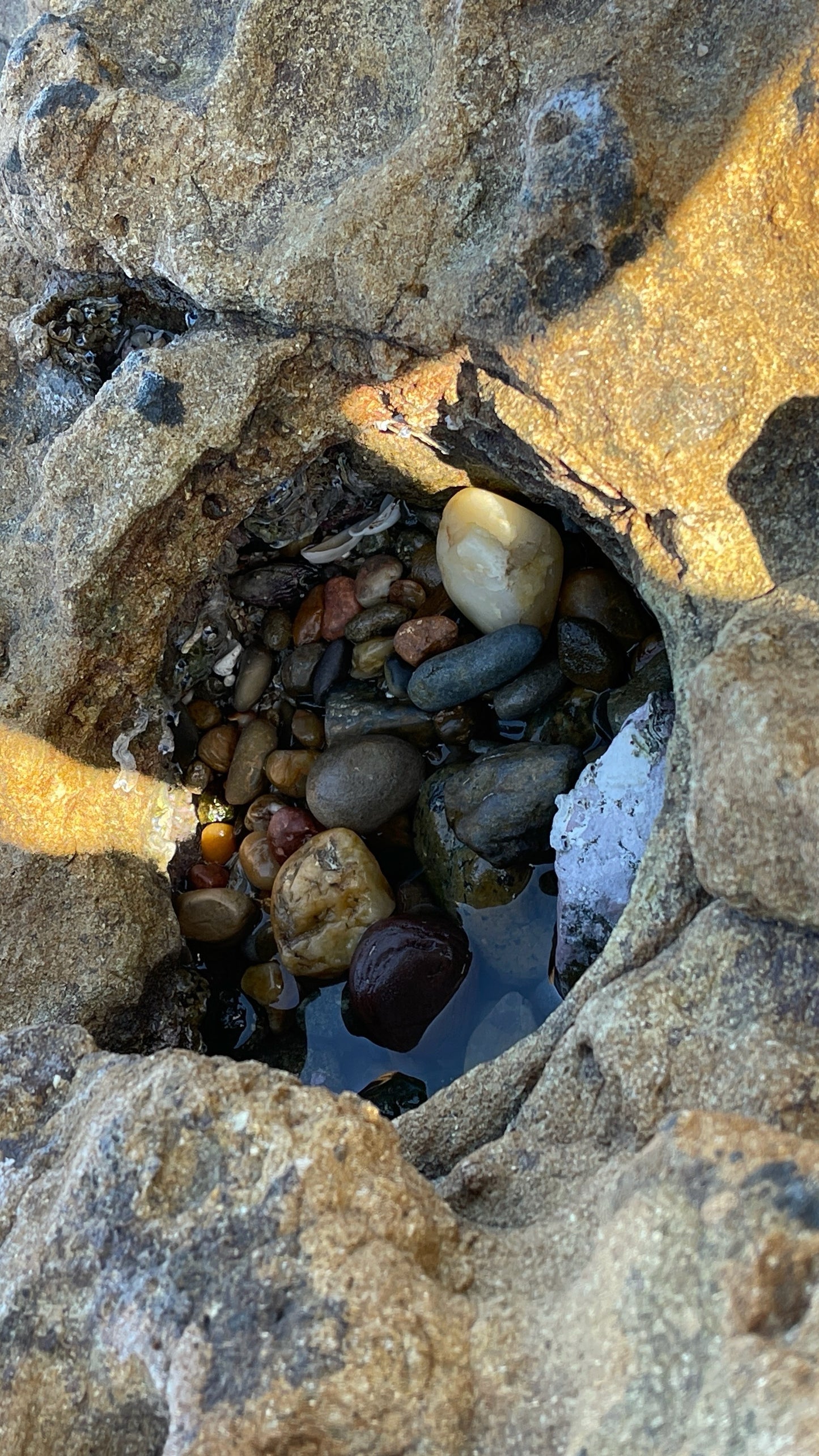 九州島の石